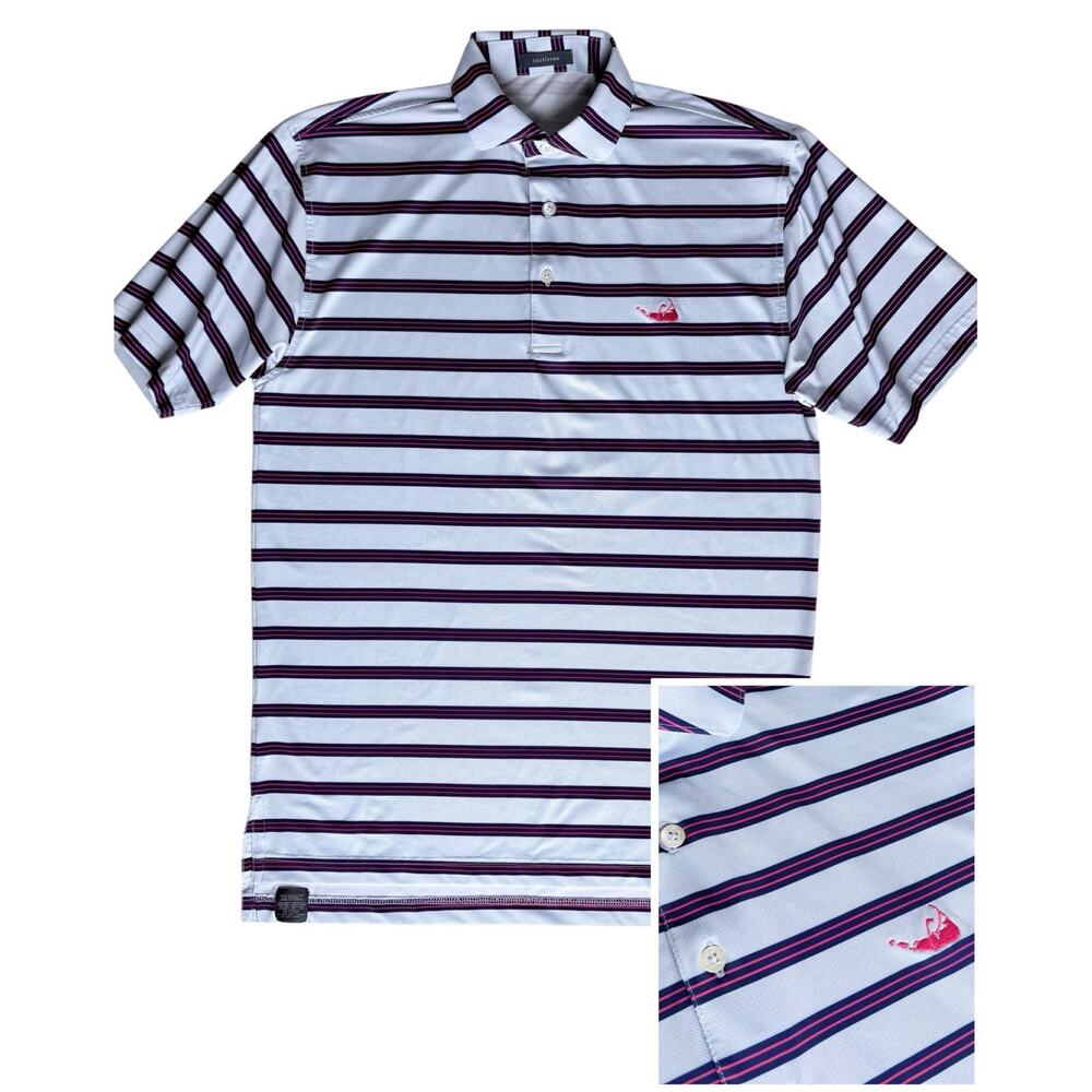 Turtleson Performance Polo Shirt Blue Pink Stripe Nantucket Embroidery Golf Sz S